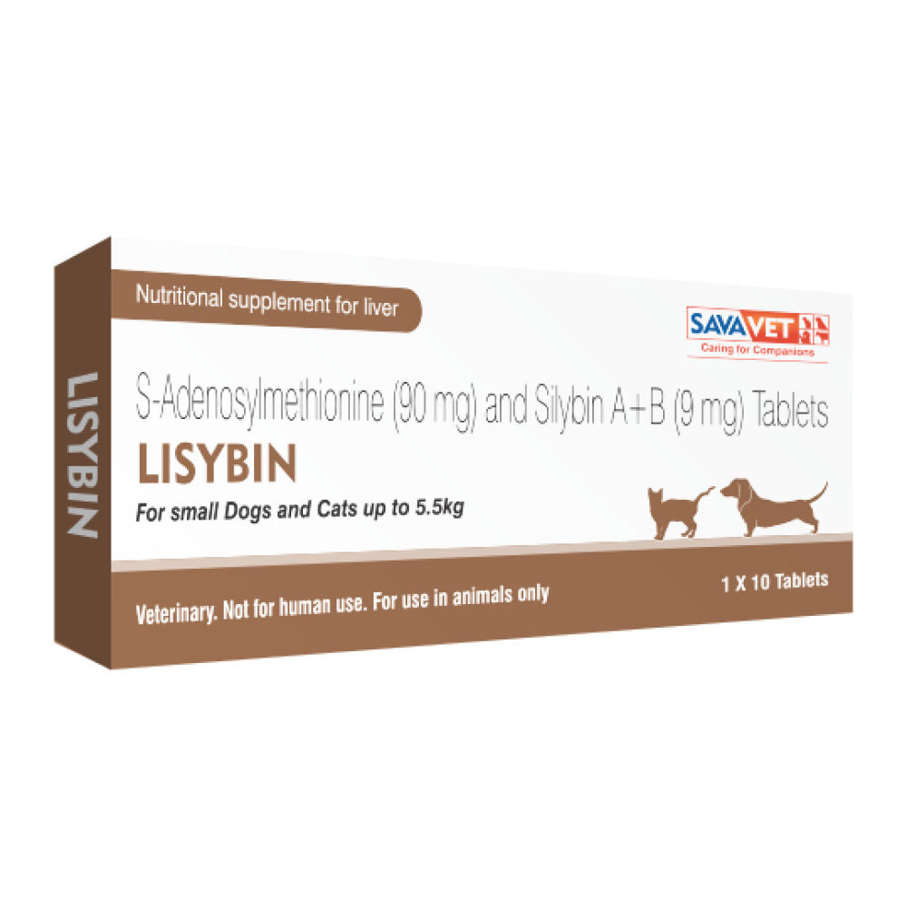 Savavet Lisybin Tablet — back view