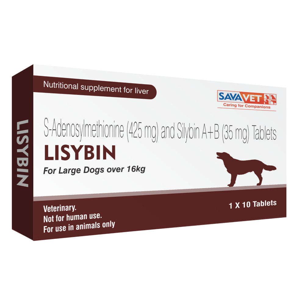 Savavet Lisybin Tablet — detail shot