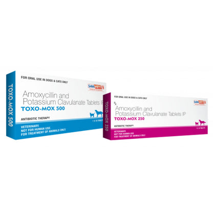 Savavet Toxo Mox (Amoxycillin) Tablets for Dogs & Cats — detail shot