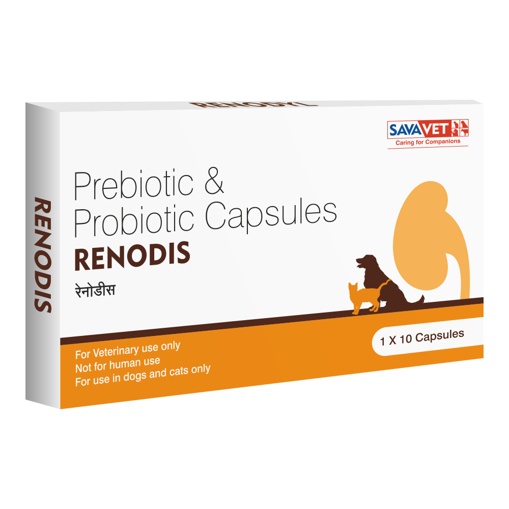 savavet-renodis-capsules 4 Strip (40 capsules)