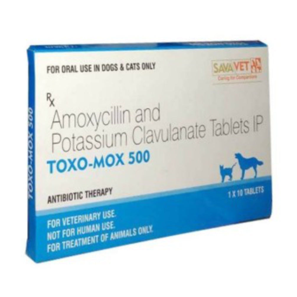 Savavet Toxo Mox (Amoxycillin) Tablets for Dogs & Cats — in use