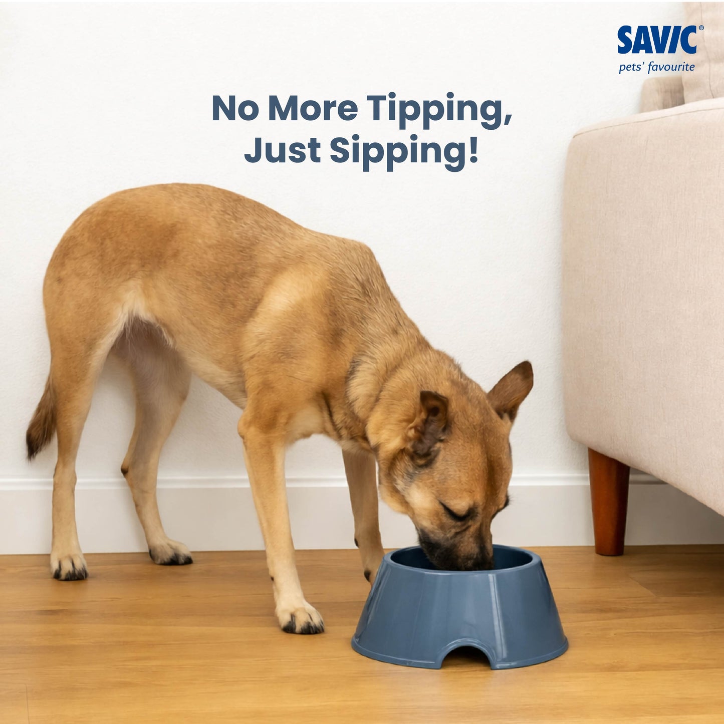 Savic Picnic Cocker Bowl for Dogs and Cats — side view