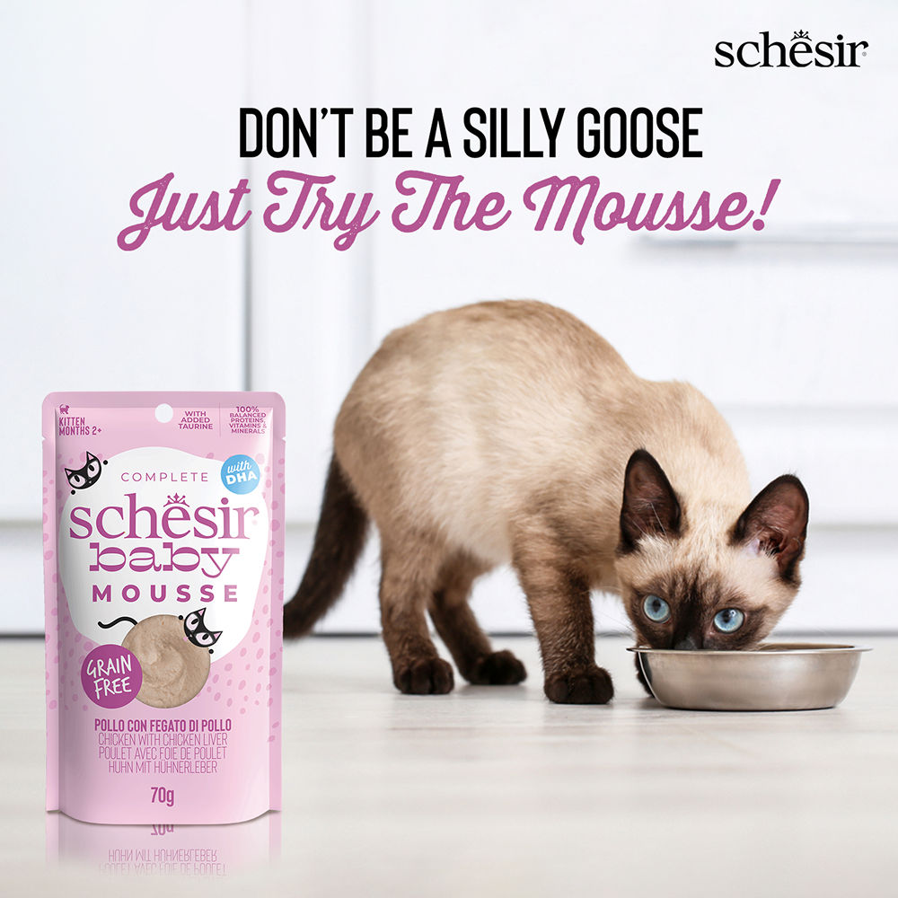Schesir Baby Chicken and Liver Mousse Kitten Cat Wet Food — in use
