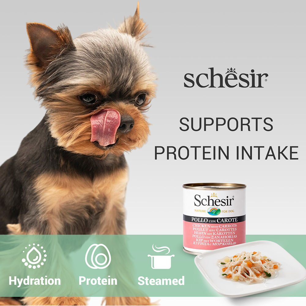 Schesir Chicken & Rice with Carrot in Jelly Dog Wet Food — back view