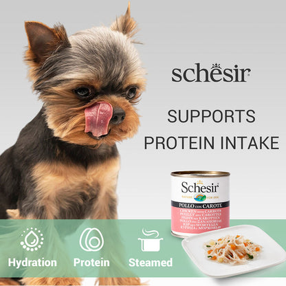 Schesir Chicken & Rice with Carrot in Jelly Dog Wet Food — back view