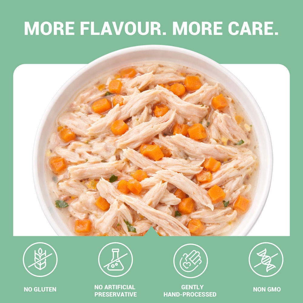 Schesir Chicken & Rice with Carrot in Jelly Dog Wet Food — detail shot