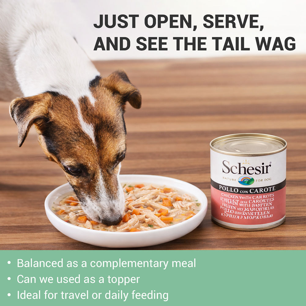 Schesir Chicken & Rice with Carrot in Jelly Dog Wet Food — in use