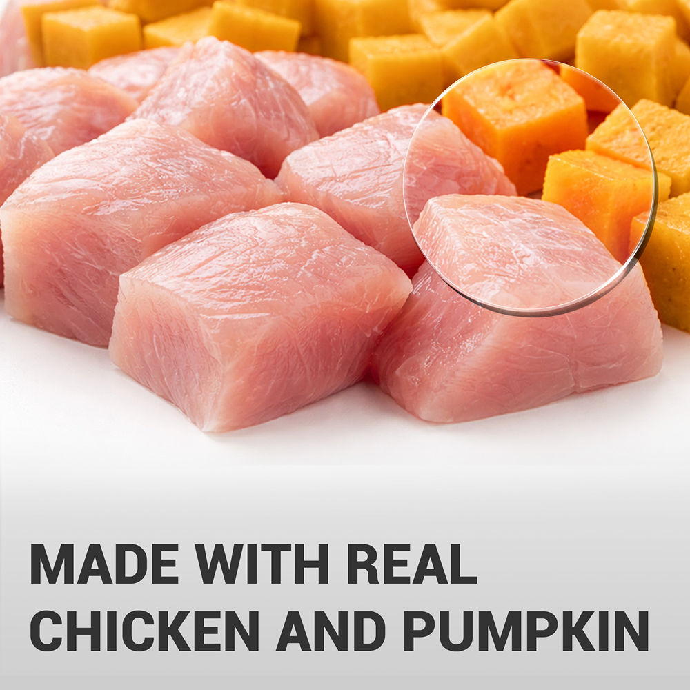 Schesir Chicken & Rice with Pumpkin in Jelly Dog Wet Food — side view