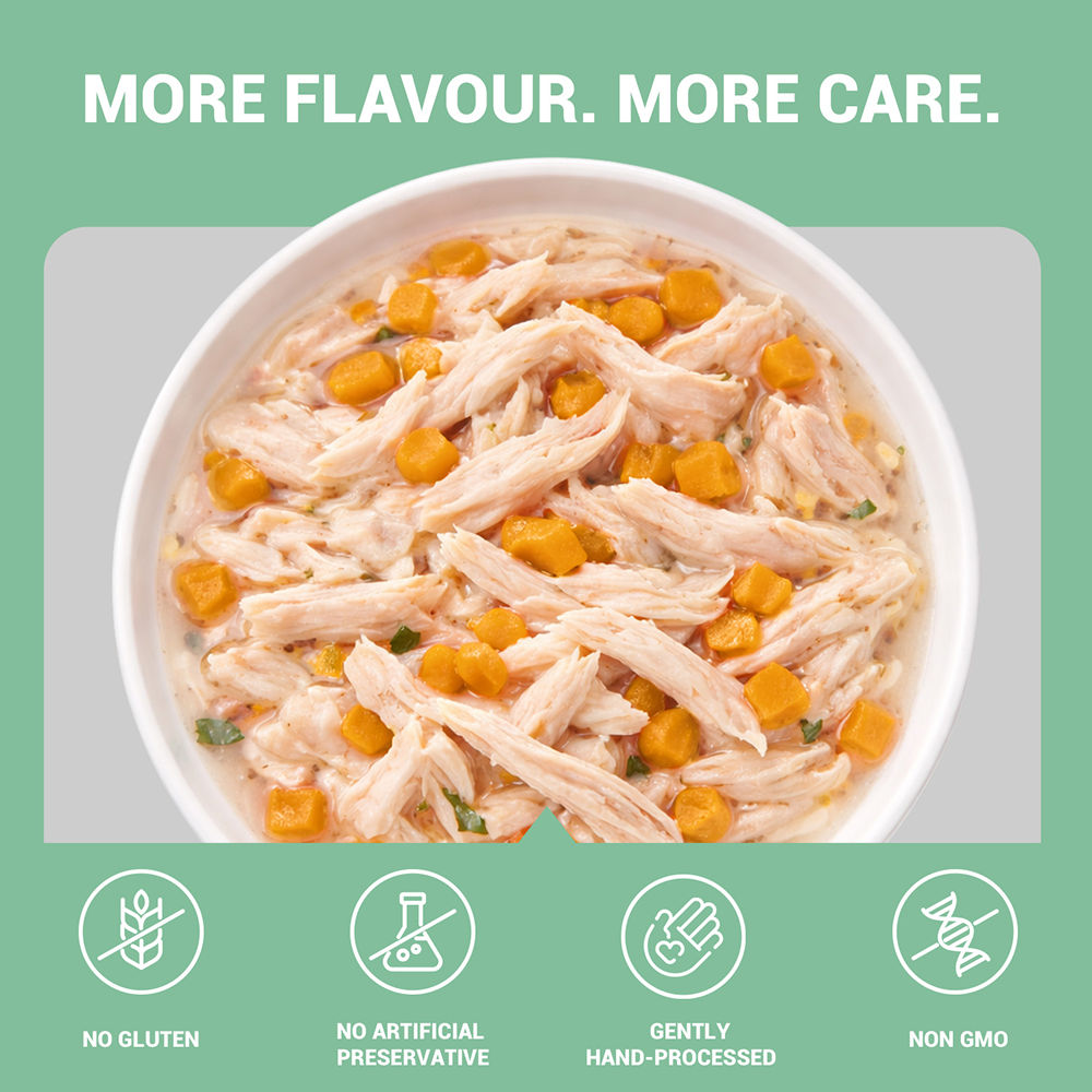 Schesir Chicken & Rice with Pumpkin in Jelly Dog Wet Food — back view