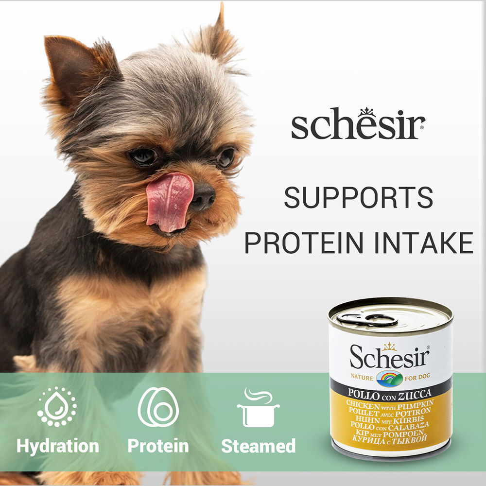 Schesir Chicken & Rice with Pumpkin in Jelly Dog Wet Food — detail shot