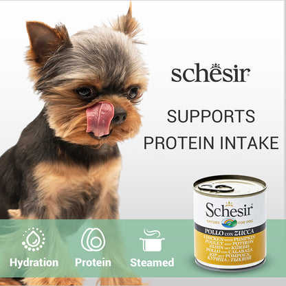 Schesir Chicken & Rice with Pumpkin in Jelly Dog Wet Food — detail shot