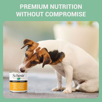Schesir Chicken & Rice with Pumpkin in Jelly Dog Wet Food — in use