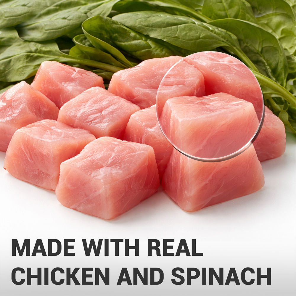 Schesir Chicken & Rice with Spinach in Jelly Dog Wet Food — side view