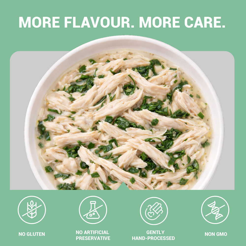 Schesir Chicken & Rice with Spinach in Jelly Dog Wet Food — back view