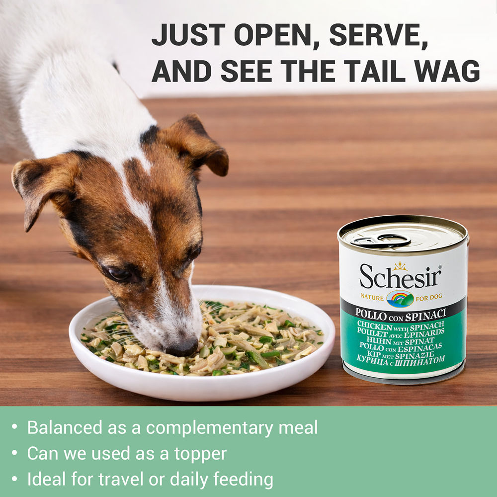 Schesir Chicken & Rice with Spinach in Jelly Dog Wet Food — detail shot
