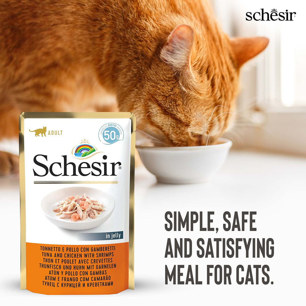 Schesir Tuna Chicken & Shrimp With Rice in Jelly Cat Wet Food — in use