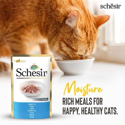 Schesir Tuna in Jelly Adult Cat Wet Food — in use