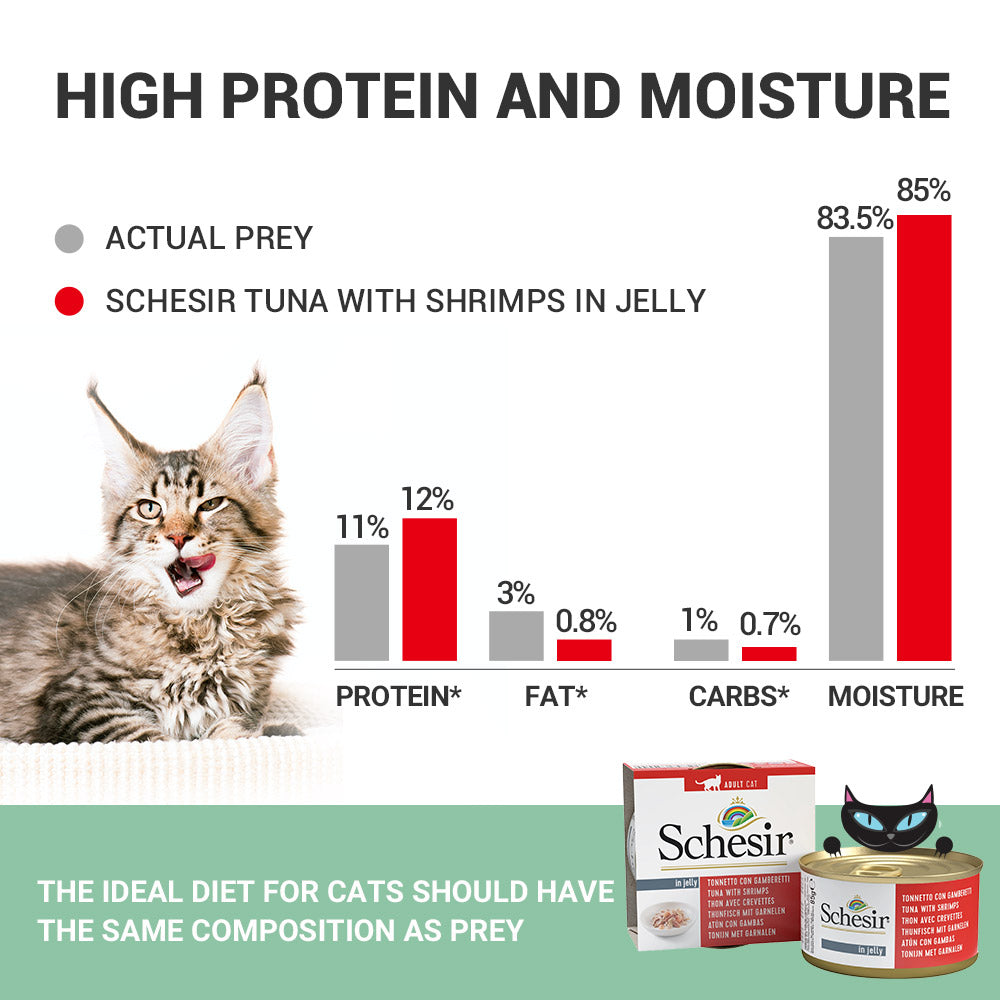 Schesir Tuna In Jelly with Shrimp Adult Cat Wet Food — back view