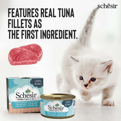 Schesir Tuna Whole Meat and Rice with Aloe Vera in Jelly Cat Wet Food — detail shot