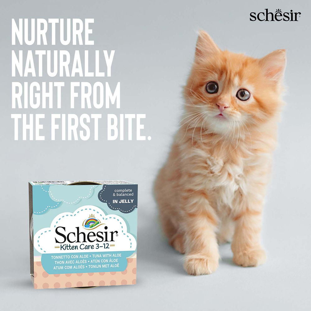 Schesir Tuna Whole Meat and Rice with Aloe Vera in Jelly Cat Wet Food — in use