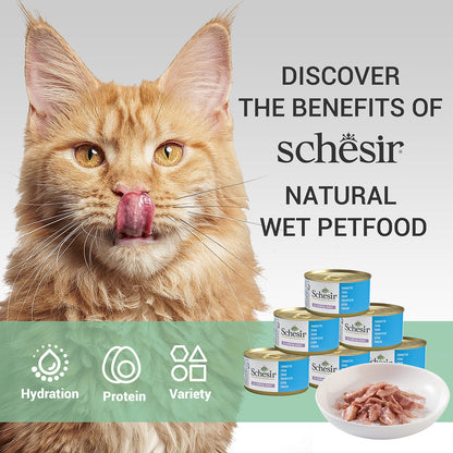 Schesir Tuna Whole Meat & Rice in Jelly Adult Cat Wet Food — detail shot