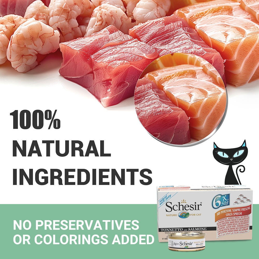 Schesir Tuna Whole Meat Salmon Rice in Jelly Adult Cat Wet Food — detail shot