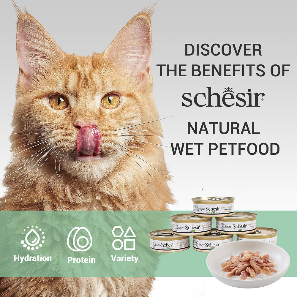 Schesir Tuna Whole Meat Salmon Rice in Jelly Adult Cat Wet Food — in use