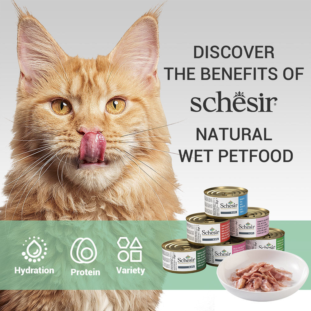 Schesir Tuna Whole Meat with Hake in Jelly Cat Wet Food — detail shot