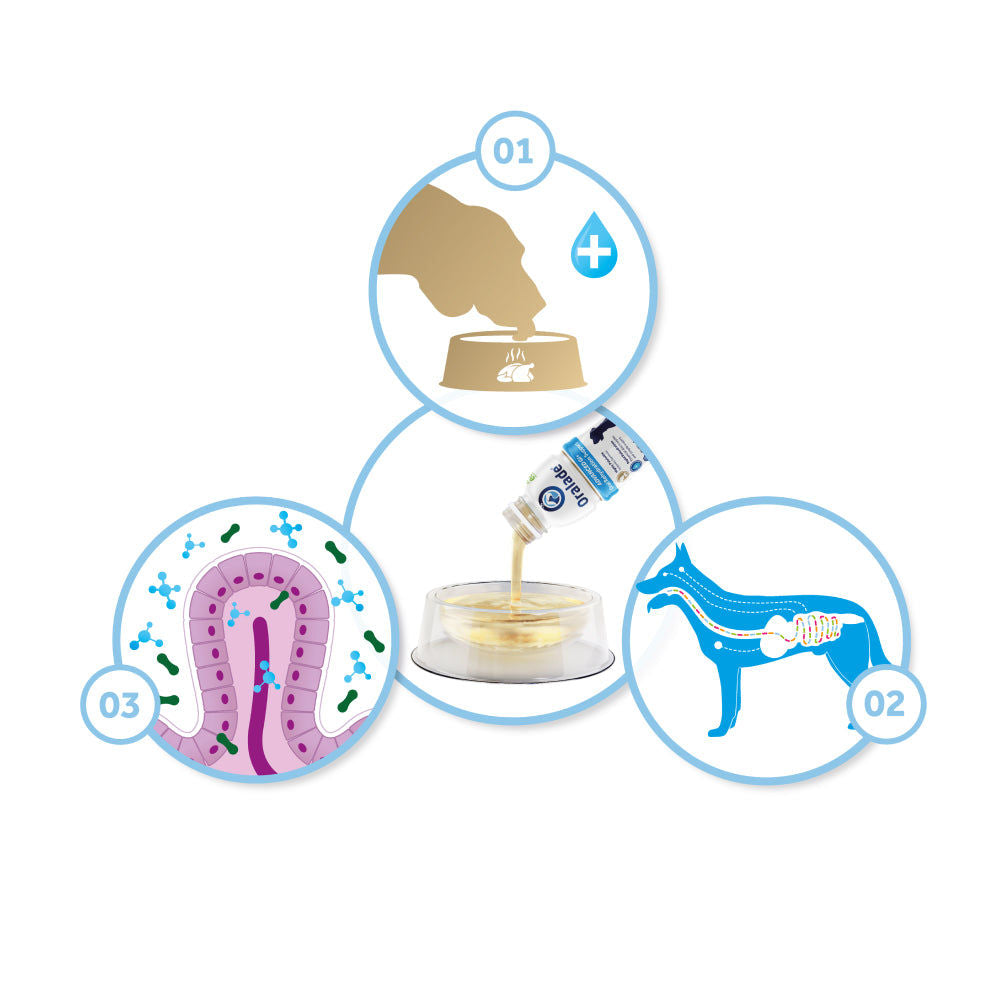 Oralade Advanced GI Oral Rehydration Support for Dogs and Cats — back view