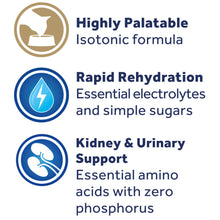 Oralade Advanced Rf Oral Rehydration Support For Cats - Image 2