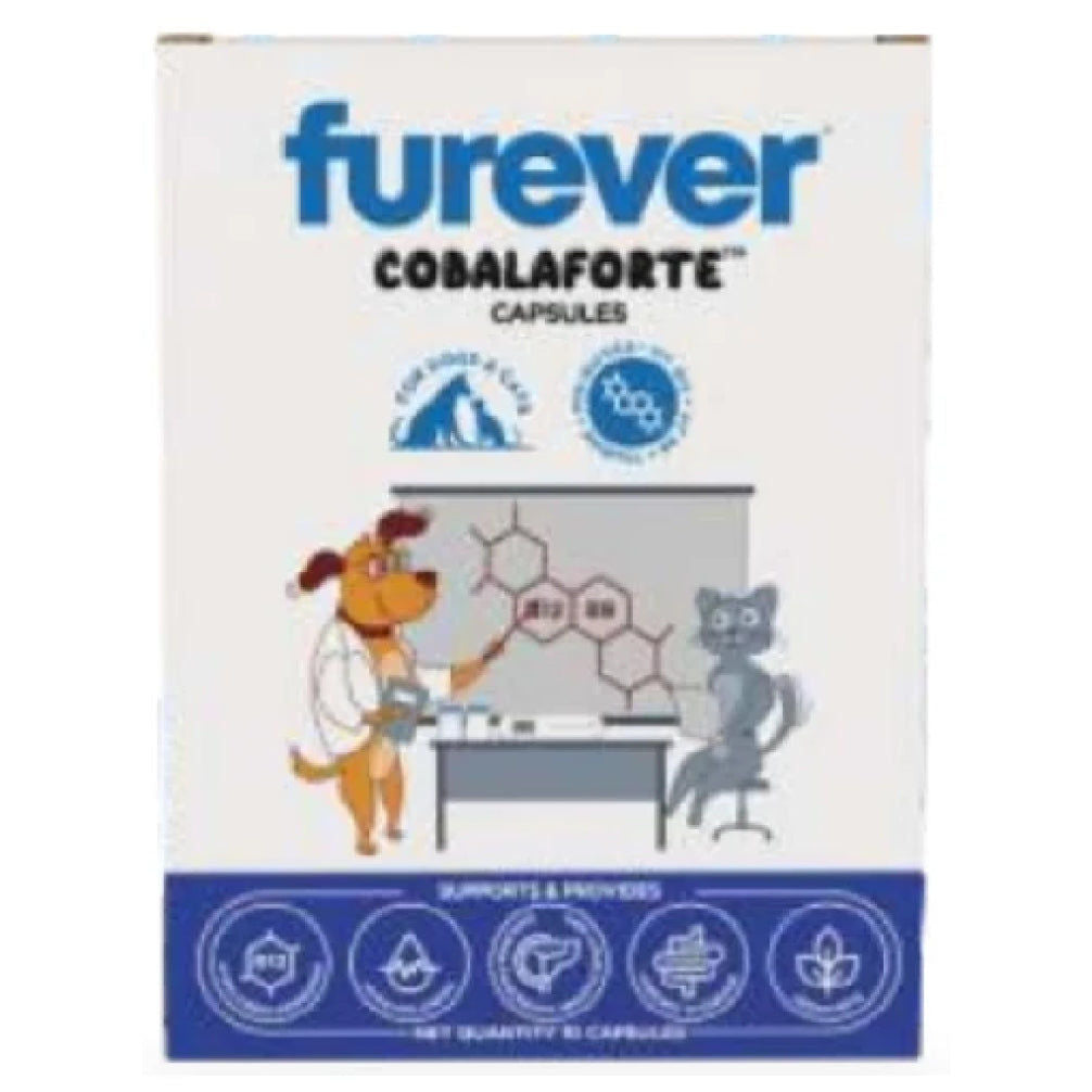 Pawsome Companion Furever Cobalaforte Capsules For Dogs Cats