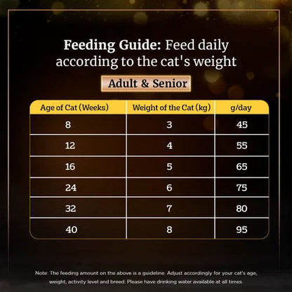 Sheba Chicken Flavour Irresistible All Life Stage Cat Dry Food — detail shot