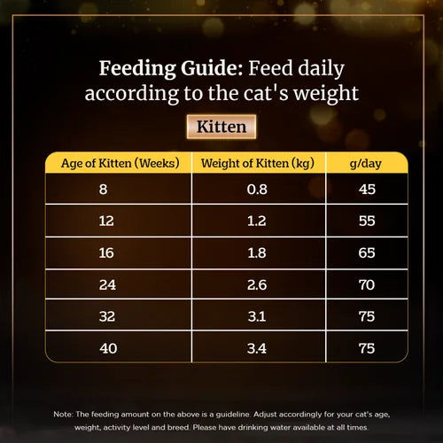 Sheba Chicken Flavour Irresistible All Life Stage Cat Dry Food — in use