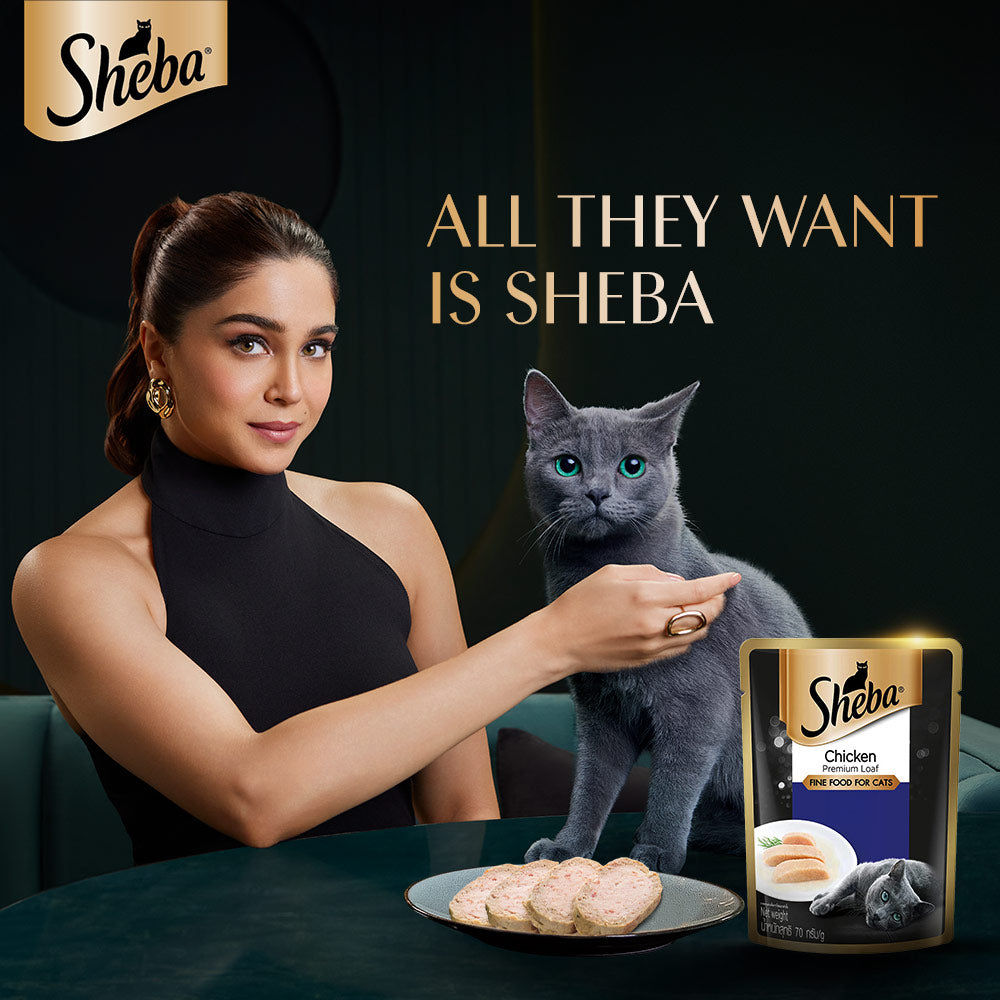 Sheba Chicken Loaf Rich Premium Adult Fine Cat Wet Food Bgb - Image 4