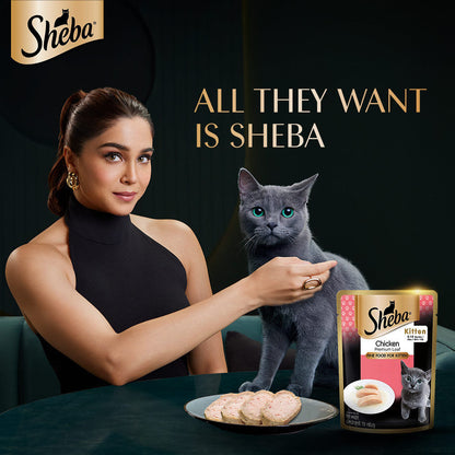 Sheba Chicken Loaf Rich Premium Kitten 2 12 Months Fine Cat Wet Food Bgb - Image 4