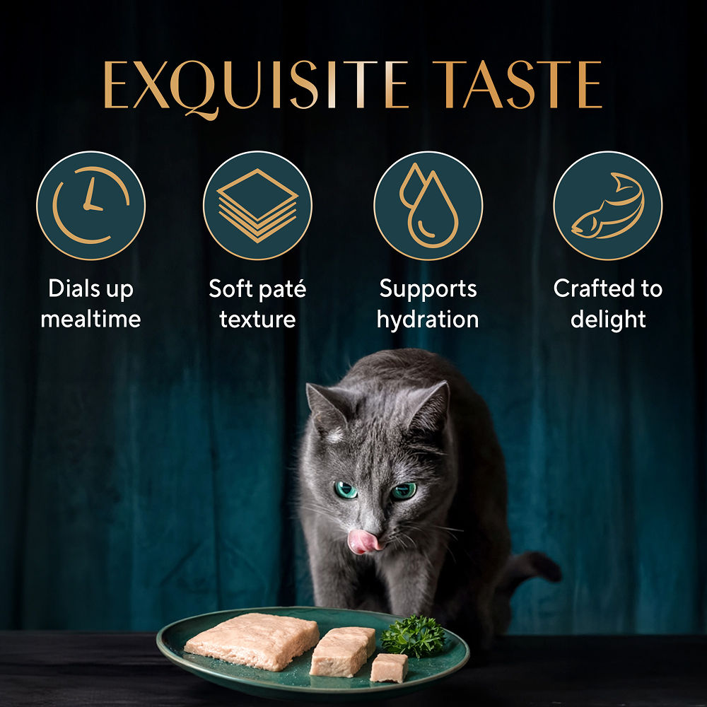 Sheba Katsuo Pate Rich Premium Adult Fine Cat Wet Food — detail shot