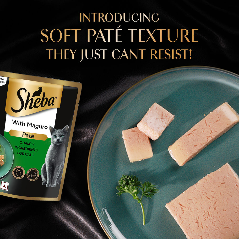 Sheba Maguro Pate Rich Premium Adult Fine Cat Wet Food — in use