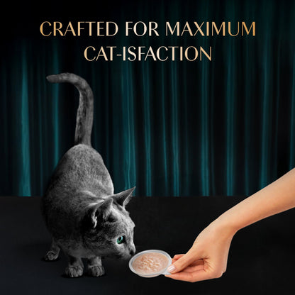 Sheba Melty Spoons Creamy Chicken & Chicken Shred Lickable Creamy Cat Treats — in use