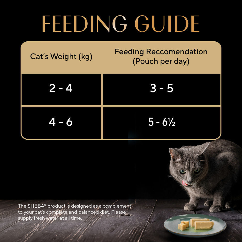 Sheba Sasami Pate Rich Premium Adult Fine Cat Wet Food — in use