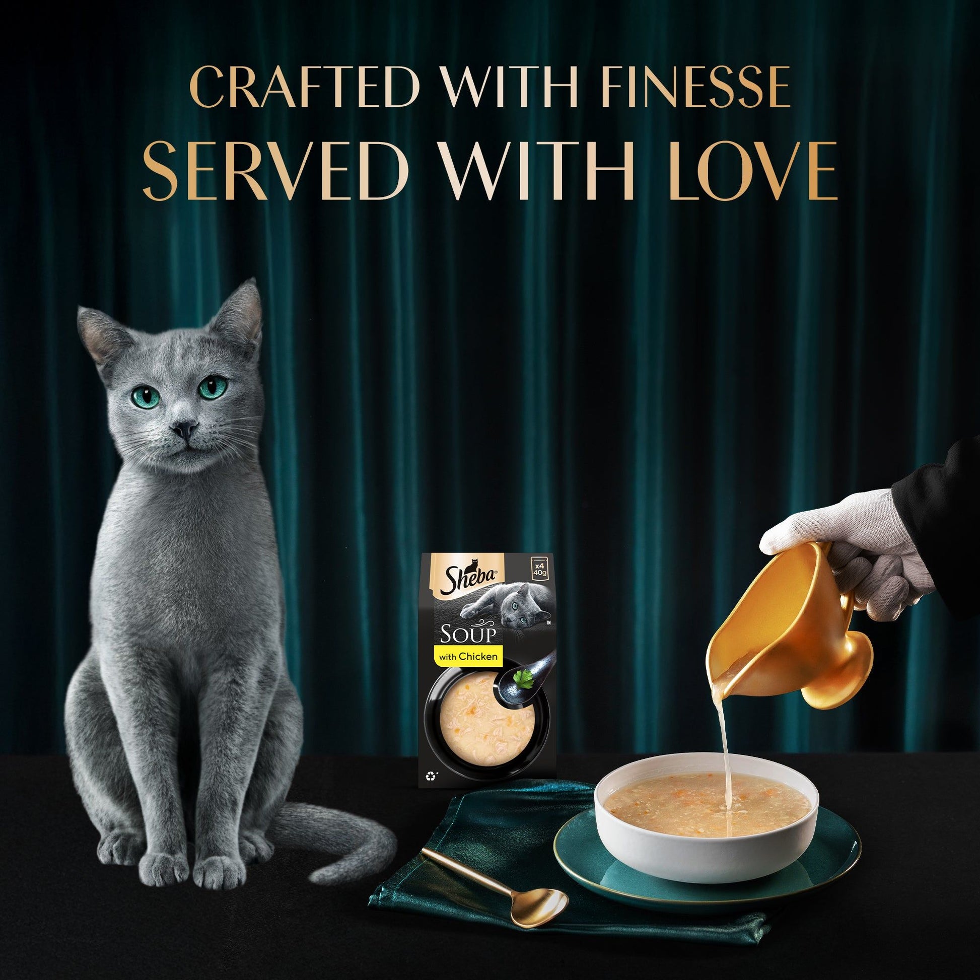 Sheba Soup with Chicken Adult Cat Wet Food — in use