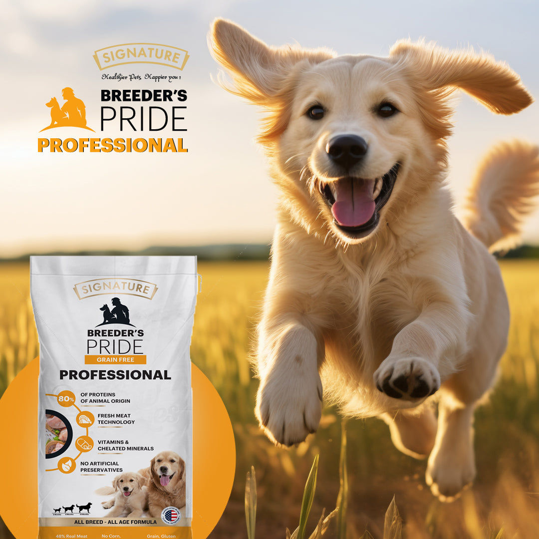 Signature Freedom Chicken And Rice Recipe Adult Dog Dry Food Copy - Image 2
