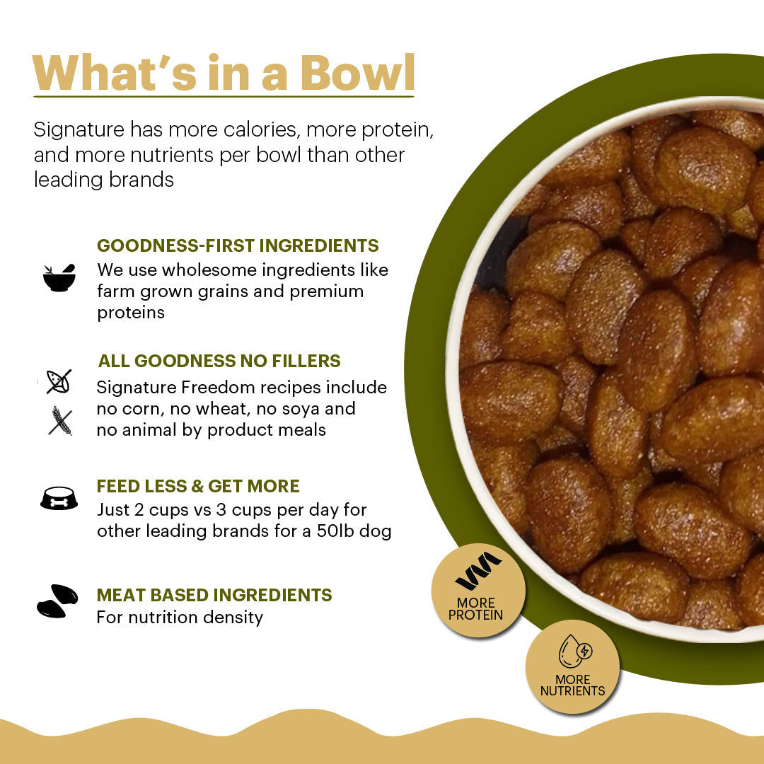 Signature Freedom Chicken And Rice Recipe Adult Dog Dry Food Copy - Image 4