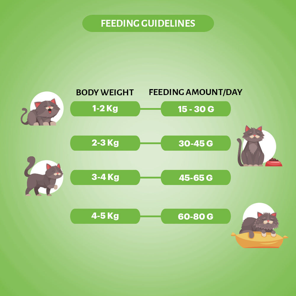 Signature Grain Zero Chicken & Vegetable Adult Cat Dry Food For All Breed — back view