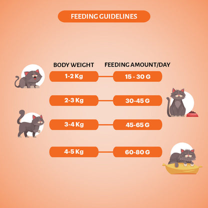 Signature Grain Zero Mackerel Adult Cat Dry Food For All Breed — side view