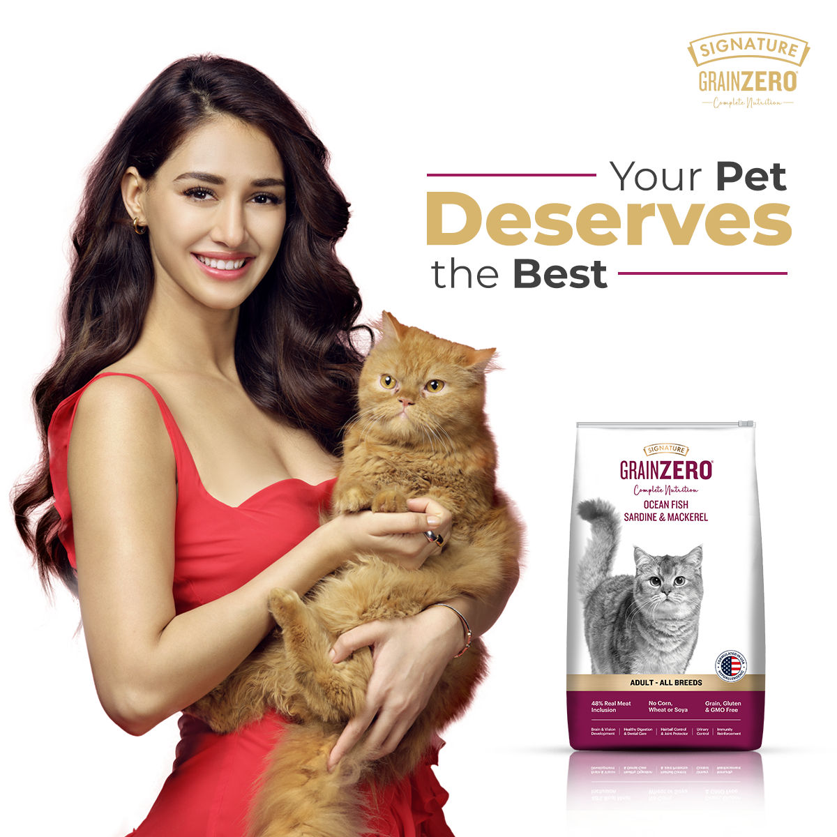 Signature Grain Zero Ocean Fish Sardine And Mackerel Mother And Kitten Cat Dry Food Copy - Image 4