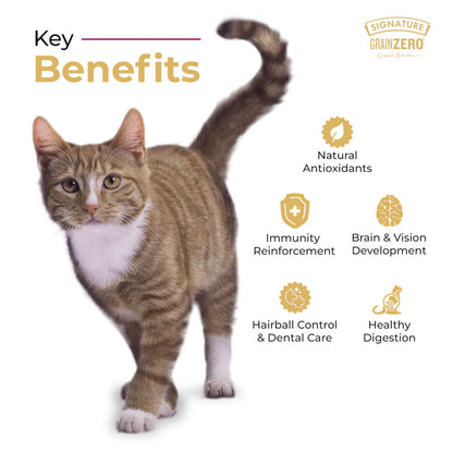 Signature Grain Zero Ocean Fish Sardine And Mackerel Mother And Kitten Cat Dry Food Copy - Image 5