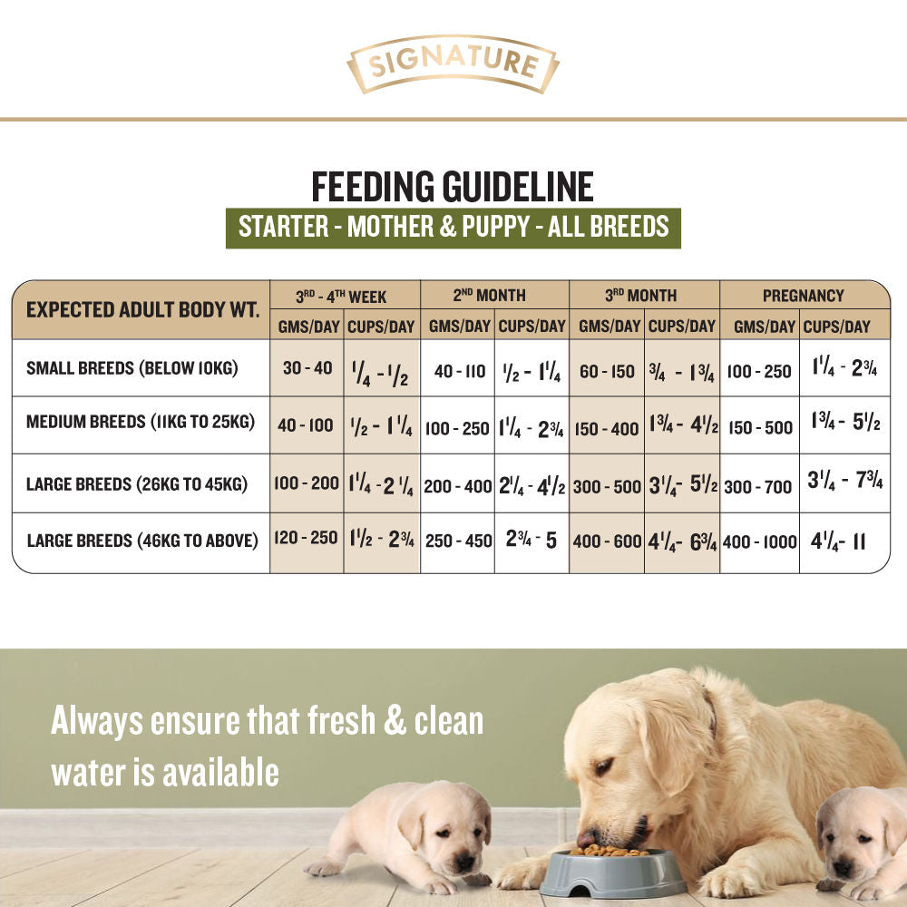 Signature Freedom Chicken And Rice Recipe Puppy Dog Dry Food Copy - Image 4