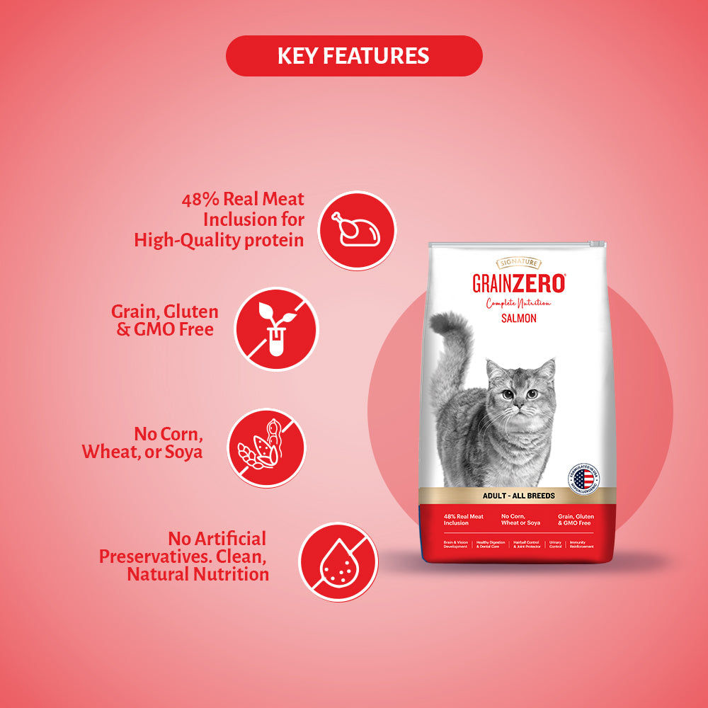 Signature Grain Zero Salmon Adult Cat Dry Food For All Breed — in use