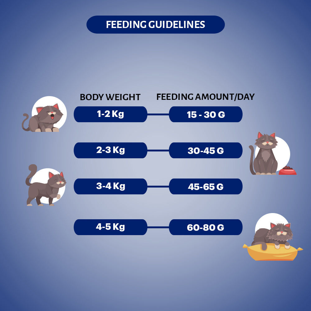 Signature Grain Zero Seafood Adult Cat Dry Food For All Breed — back view