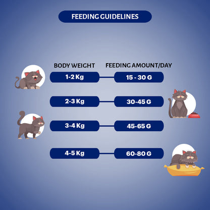 Signature Grain Zero Seafood Adult Cat Dry Food For All Breed — back view
